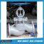 PN16 DIN Flange Cast Steel Globe Valve