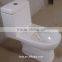 Ceramic Sanitary Toilet for Bathroom