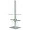 Q235 Galvanized Scaffolding screw jack jacks for construction