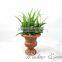 Chinese Garden Supplier Artificial Plastic Potted Bonsai Plant Types of Ornamental Plants