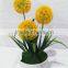 Wholesale new product artificial dandelion flower Artificial Dandelions with Led Light