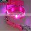 Hot new pet product led dog collar
