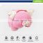 little pig shape healthy care buckwheat pillow for everybody