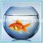 Decorative Ball Shape Fish Bowl Clear Glass Fish Bowl