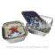 new type and design aluminum foil box