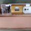 home oil extraction machine for avovado with AC motor 220v 110v