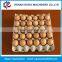 High quality paper egg tray machine/large capacity egg tray machine/waste cartons egg tray machine price