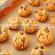 Jiangsu Haitel small scale mini biscuit making machine industry