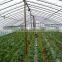 Hot sale greenhouse film for food