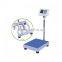 TCS Series of Electronic Platform Scale 300kg Stainless Steel