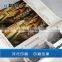 custom high quality tickets 4 color printing card paper
