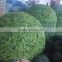 Square Use 1.2m Diameter Artificial Topiary Grass Ball