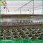 Large Sawtooth type greenhouse equipment poly film for greenhouse