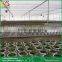 Large Sawtooth type attached greenhouse greenhouse polycarbonate panels