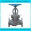 DIN Cast Iron Angle Globe Valve