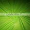 Shuanglu hot sale cheap mesh fabric from China direct textile factory