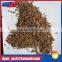 DYAN walnut shell abrasives manufacturer / noz abrasivos shell/12#-20# /20-30 mesh/5-12 mesh