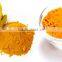 Premium turmeric powder bulk supplier