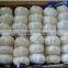 2016 Chinese high quality fresh garlic price Pure White Garlic alho fresh garlic