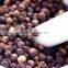 BLACK PEPPER 500g/l FROM VIETNAM- EMAIL: EMILYTRAN@VISIMEX.COM