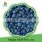 China high quality sweet delicious bulk IQF frozen blueberry prices