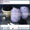 Blueberry taste milkshake powder mix