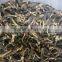 dry Morchella conica price dried morel mushrooms China dry mushroom