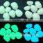 Bulk High quality photoluminescent pigment glow in dark