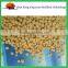 Ace standard fertilizer material dap fertilizer prices