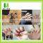 Various Design Chaep Price Cute Waterproof Nail Sticker