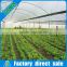 Multi-Span plastic Greenhouse Equipment with drip irrigation system