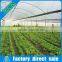 Casting,Stretch Film Type and Transparent Film Multi span Greenhouse