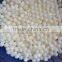 White mississippi river shell pearl nucleus for pearl farming