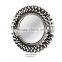 Stainless Steel Framed Decorative Wall Mirror