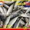 FROZEN MARUADSI (ROUND SCAD)
