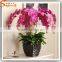 Chinese Factory direct all kinds of wedding flower bonsai tree artificial flower plants