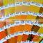 Pantone GP1601N Formula Guide Coated & Uncoated