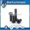 Made in Taiwan Hex Socket Plastic Cap Screw Cross Recess Pan Head Plastic Material Screw