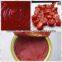 Best-Selling Tomato Paste Ketchup (18%-30%)