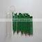 Green painting HB pencil with 36 pcs pet tube packing