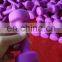 Cheap plastic dumbbell cast iron inside colorful plastic dip dumbbell for home gym equipment