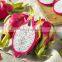 Good Quality Dragon Fruit Fresh With Best Pice Made In VIet Nam