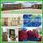 New arrival Retractable garden hose