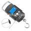 Byloo 10kg 15kg 20kg  25kg 30kg 35kg 40kg 45kg 50kg mini digital electronic hanging travel luggage weighing scale fishing scale