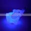 Newest Design Rotocast Soft Elephant Cute Led Light Soft Toy