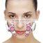 mini face massager EMS function