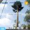 camouflaged telecom tree tower, palm tower
