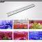 2015 Jiangjing 45w Programme Auto Dimmable Marine Aquarium LED Lighting