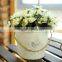 Antique Style Galvanized Metal Bucket Planter with Rope Handles