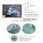 Longquan celadon brave Decorations